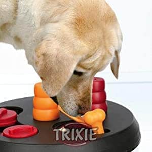 Trixie Dog