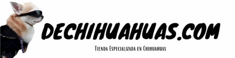 DeChihuahuas.com